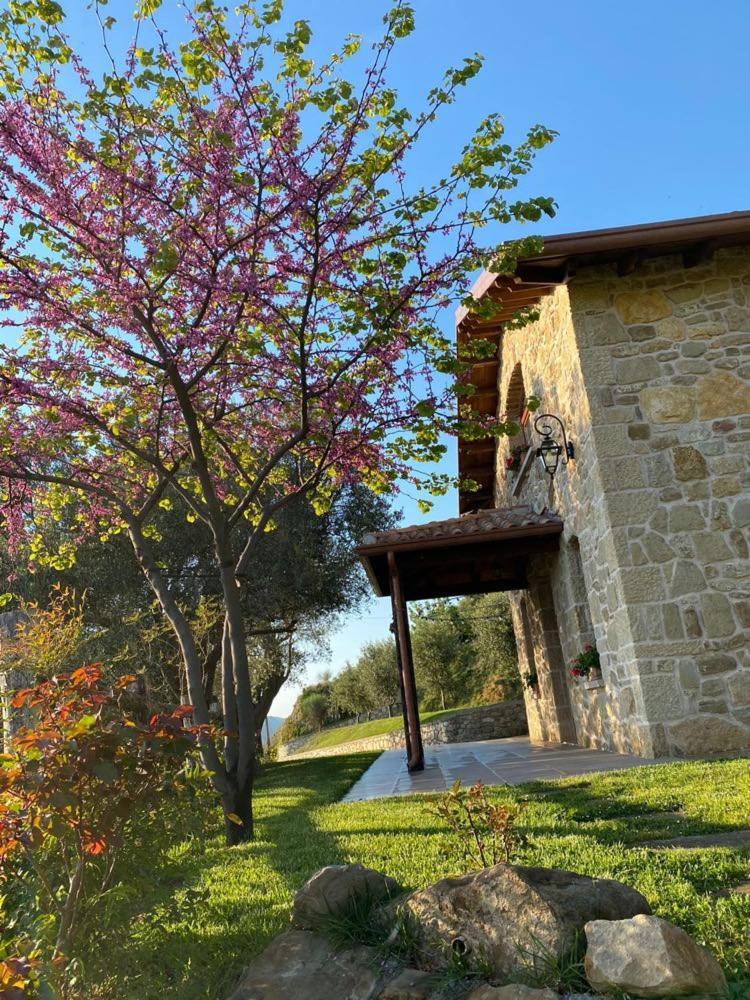Bujtina Salko Villa Mucaj ภายนอก รูปภาพ
