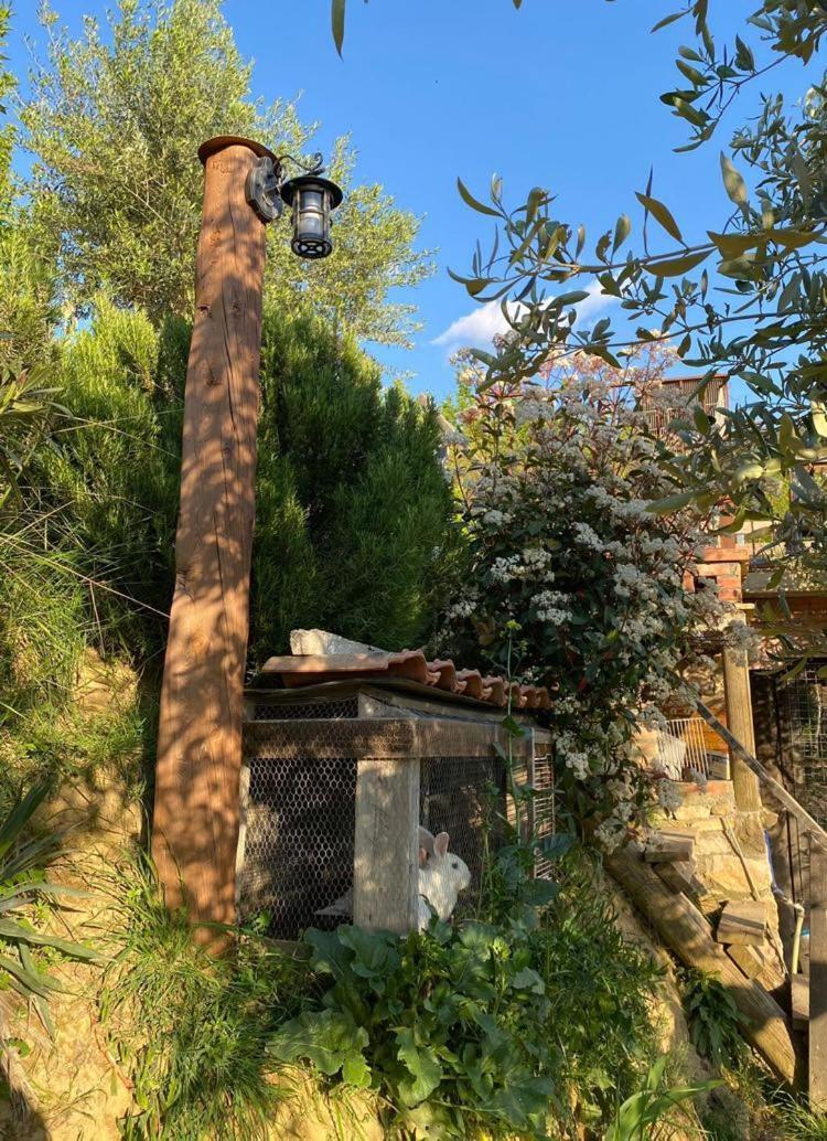 Bujtina Salko Villa Mucaj ภายนอก รูปภาพ