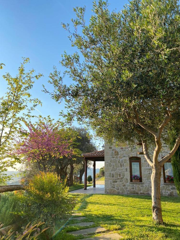 Bujtina Salko Villa Mucaj ภายนอก รูปภาพ